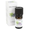 Etherische olie - Lavender 5 ml