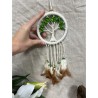 Dromenvanger - Tree of Life - groen - 12cm - Dream Catcher