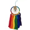 Dromenvanger Rainbow 11cm met lange kwastjes