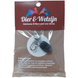 Dier & Welzijn halsband hanger Labradoriet