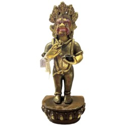 Dharmapala Goldface beeld