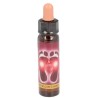 10 ml Feet chakra - uit Chakra Essences