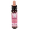 10 ml Bringing in the Light - Geranium - uit Karmic Essences set