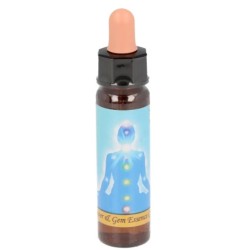 10 ml Throat chakra - uit Chakra Essences