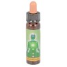 10 ml Heart chakra - uit Chakra Essences