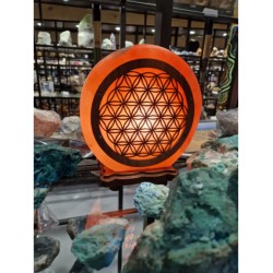 Zoutsteen lamp flower of life rond deco incl- elektra