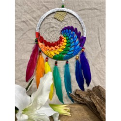 Dromenvanger wave regenboog - wit 22 cm