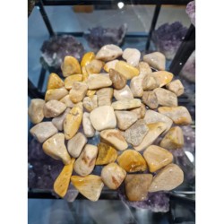 Versteend hout trommelstenen 500 gr- -mt3-