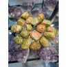 Unakiet trommelstenen 250 gr- -mt3-