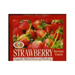 Darshan Strawberry Wierook Kegeltjes