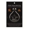 Feng shui raamhanger ster