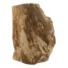 Fossiel hout uit Java half gepolijst, p/kg