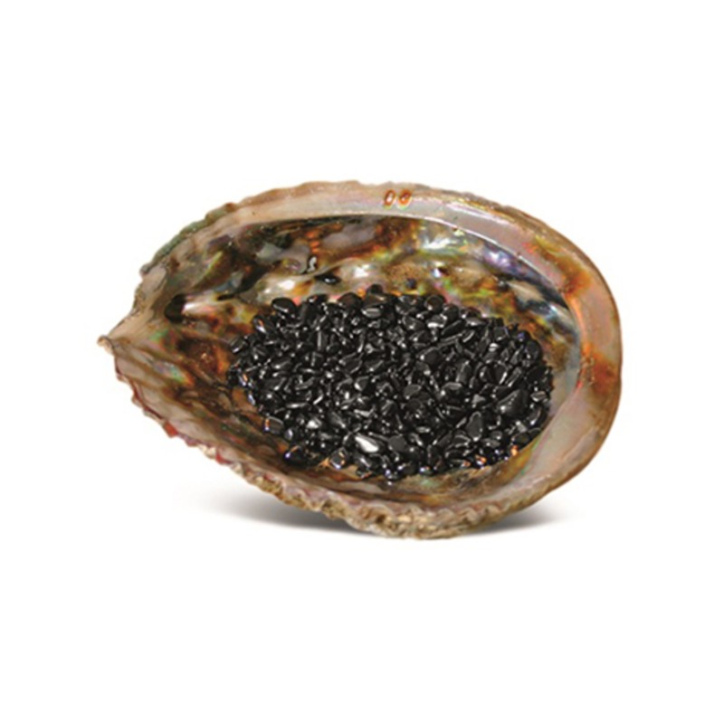 Abalone ontlaadschelp