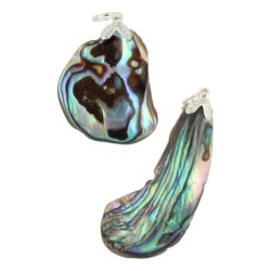 Abalone schelp edelsteen hanger