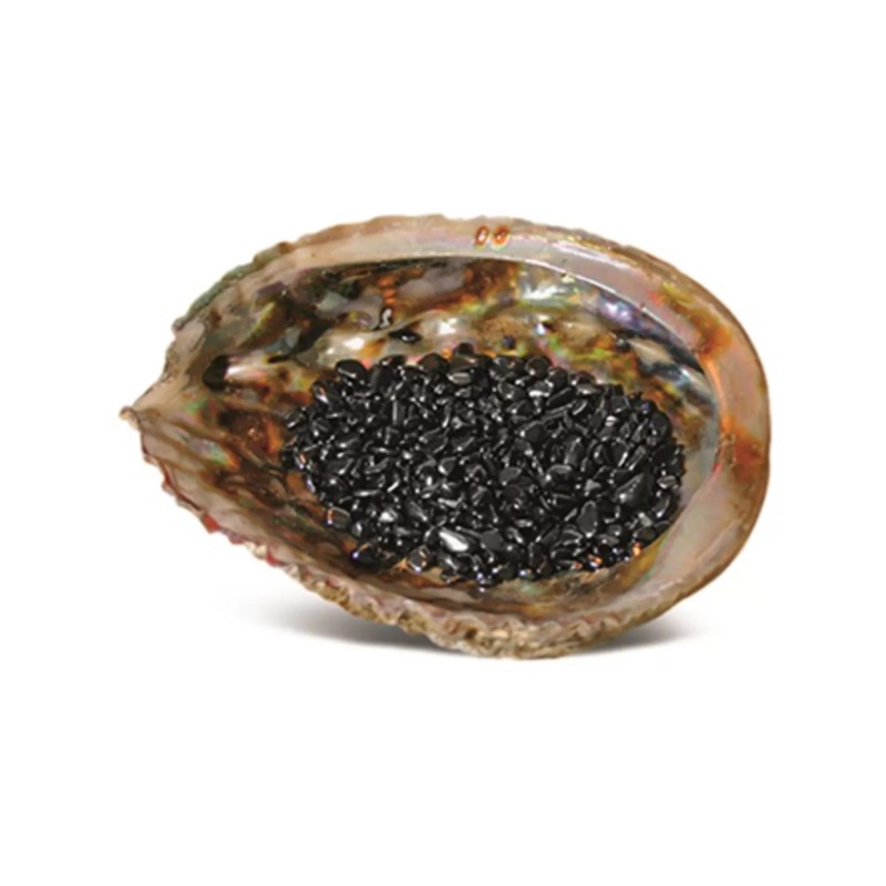 Abalone ontlaadschelp