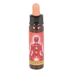 10 ml Base chakra - uit Chakra Essences