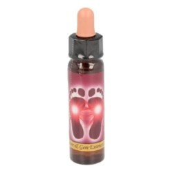 10 ml Feet chakra - uit Chakra Essences