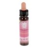 10 ml Bringing in the Light - Geranium - uit Karmic Essences set