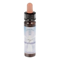 10 ml Transmutation - uit Angel Essences