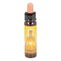 10 ml Solar Plexus chakra - uit Chakra Essences