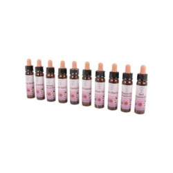 10 ml Transforming Core Emotions Set - Divine Harmony Essences