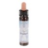 10 ml Wisdom - uit Angel Essences