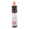 10 ml Open to Receive - uit Belief Patterns Essences