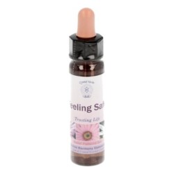 10 ml Feeling Safe - uit Belief Patterns Essences