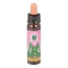 10 ml Higher chakras - uit Chakra Essences