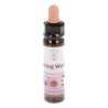 10 ml Feeling Worthy - uit Core Emotions Essences