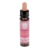 10 ml Opening the Heart - Fuchsia - uit Karmic Essences set