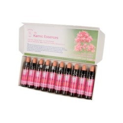 10 ml Opening the Heart - Fuchsia - uit Karmic Essences set