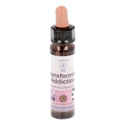 10 ml Transforming Addiction - uit Belief Patterns Essences