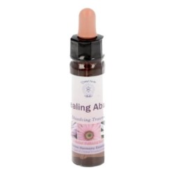 10 ml Healing Abuse - uit Belief Patterns Essences