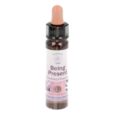 10 ml Being Present - uit Belief Patterns Essences