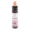 10 ml Sexuality - uit Belief Patterns Essences