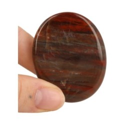 Versteend hout zaksteen Madagaskar