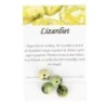 Lizardiet kralen 12 mm - 4 st.