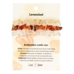 Splitarmband combi Levenslust