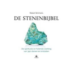 Boek: De Stenenbijbel