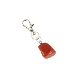 Dier & Welzijn halsband hanger Jaspis rood