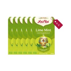 Yogi Tea Lime Mint - tray: 6 stuks