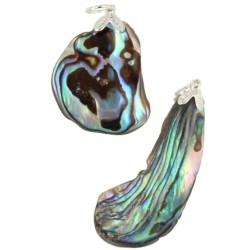 Abalone schelp edelsteen hanger