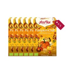 Yogi Tea Pumpkin Chai bio - tray: 6 stuks