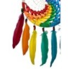 Dromenvanger wave regenboog / wit 22 cm