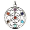 Chakra hanger levensbloem