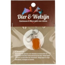 Carneool halsband hanger Dier & Welzijn