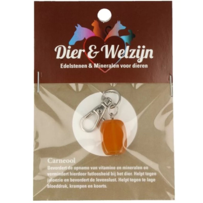 Carneool halsband hanger Dier & Welzijn