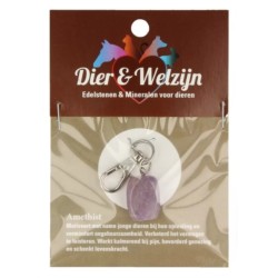 Amethist halsband hanger Dier & Welzijn