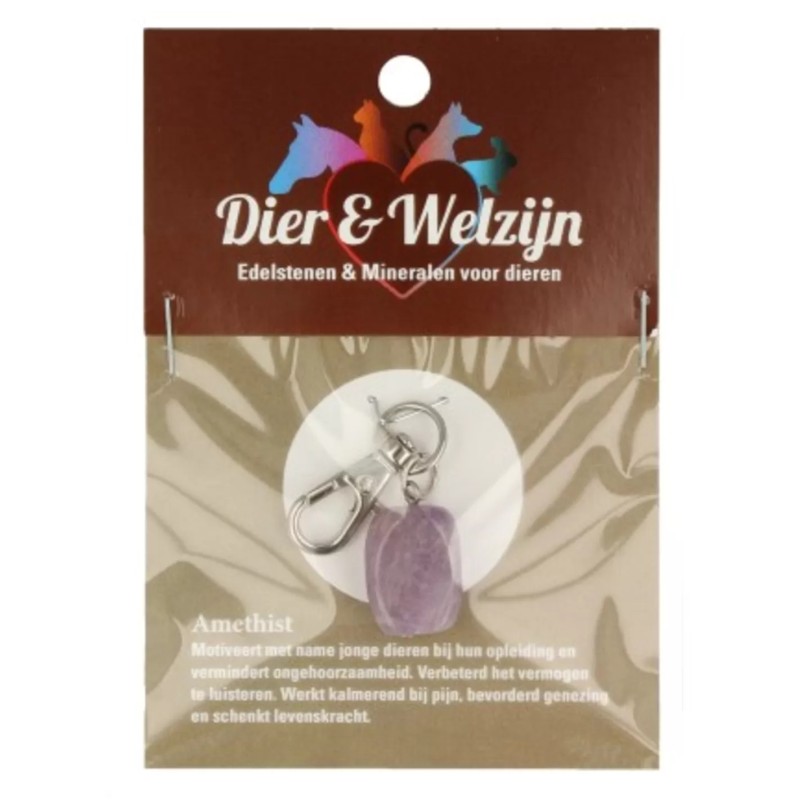 Amethist halsband hanger Dier & Welzijn